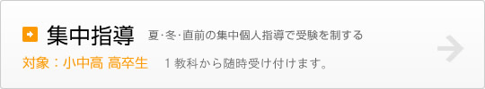 集中指導 夏･冬･直前の集中個人指導で受験を制する